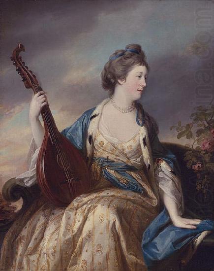 Francis Cotes Alice, Countess of Shipbrook china oil painting image